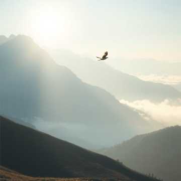 Beyond the highest of skies cover art