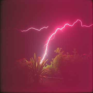 Front Yard Magic cover art