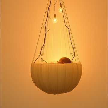 Cordón invisible cover art