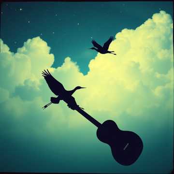 Журавлі під небом cover art