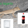 COCA VIDRIO LAGARTO